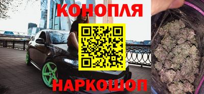 индика Пугачёв