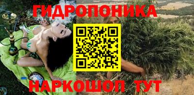 индика Пугачёв