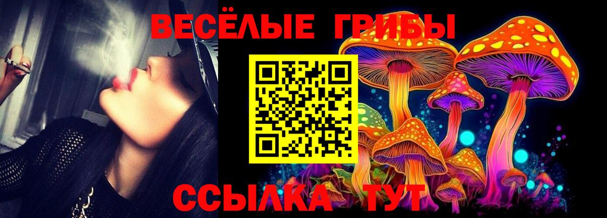 купить наркоту  Вход с VPN  Рославль  Псилоцибиновые грибы Psilocybine cubensis 